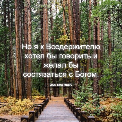 Picture 05 - Иов 13:3 RUSV - Но я к Вседержителю хотел - Bible Verse Picture