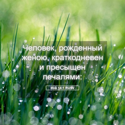 Picture 05 - Иов 14:1 RUSV - Человек, рожденный женою, - Bible Verse Picture