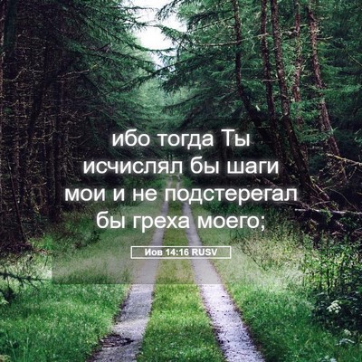 Picture 05 - Иов 14:16 RUSV - ибо тогда Ты исчислял бы - Bible Verse Picture