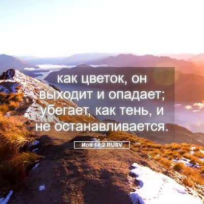 Picture 05 - Иов 14:2 RUSV - как цветок, он выходит и - Bible Verse Picture