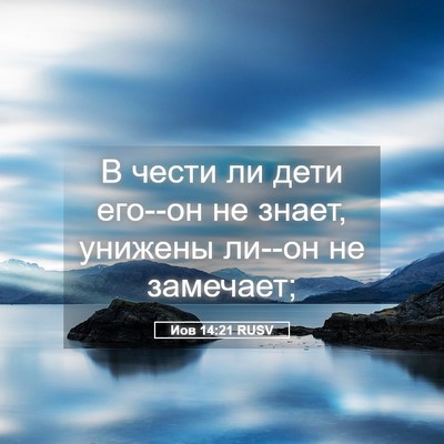 Picture 05 - Иов 14:21 RUSV - В чести ли дети его--он не - Bible Verse Picture