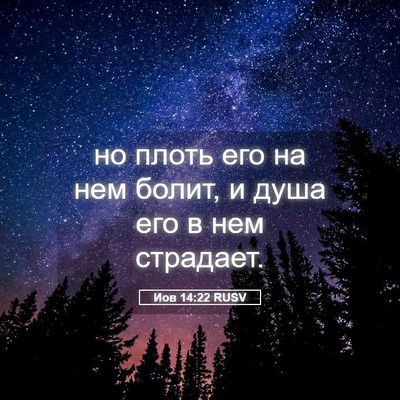 Picture 05 - Иов 14:22 RUSV - но плоть его на нем болит, и - Bible Verse Picture
