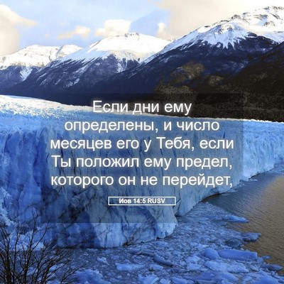 Picture 05 - Иов 14:5 RUSV - Если дни ему определены, и - Bible Verse Picture