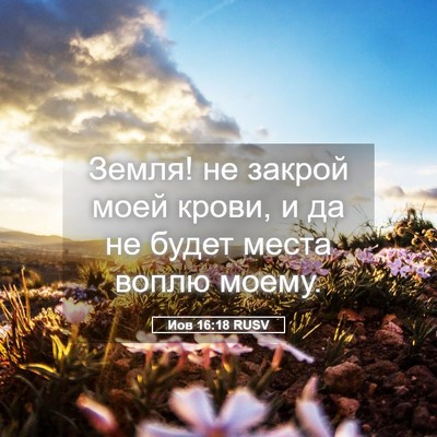 Picture 05 - Иов 16:18 RUSV - Земля! не закрой моей - Bible Verse Picture
