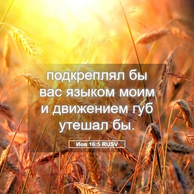 Picture 05 - Иов 16:5 RUSV - подкреплял бы вас языком - Bible Verse Picture