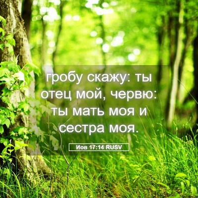 Picture 05 - Иов 17:14 RUSV - гробу скажу: ты отец мой, - Bible Verse Picture