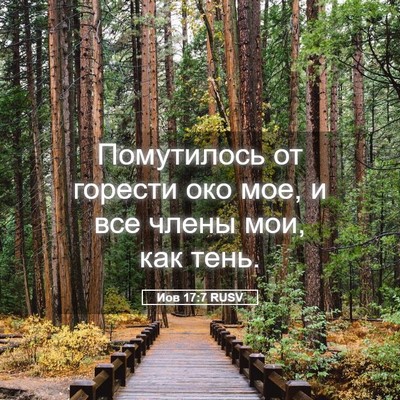 Picture 05 - Иов 17:7 RUSV - Помутилось от горести око - Bible Verse Picture