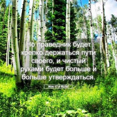 Picture 05 - Иов 17:9 RUSV - Но праведник будет крепко - Bible Verse Picture