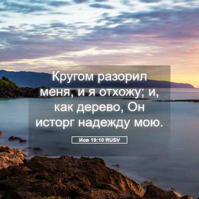 Picture 05 - Иов 19:10 RUSV - Кругом разорил меня, и я - Bible Verse Picture