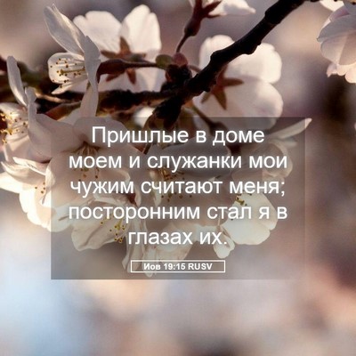 Picture 05 - Иов 19:15 RUSV - Пришлые в доме моем и - Bible Verse Picture
