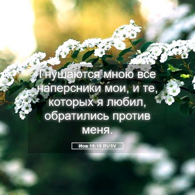 Picture 05 - Иов 19:19 RUSV - Гнушаются мною все - Bible Verse Picture