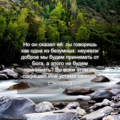 Picture 05 - Иов 2:10 RUSV - Но он сказал ей: ты - Bible Verse Picture