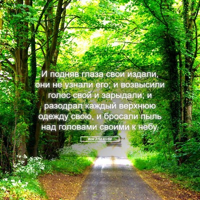 Picture 05 - Иов 2:12 RUSV - И подняв глаза свои издали, - Bible Verse Picture
