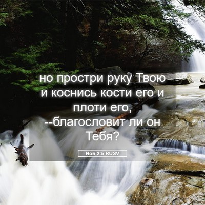 Picture 05 - Иов 2:5 RUSV - но простри руку Твою и - Bible Verse Picture