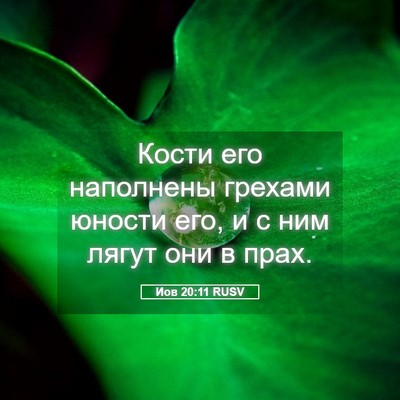 Picture 05 - Иов 20:11 RUSV - Кости его наполнены - Bible Verse Picture