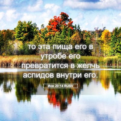 Picture 05 - Иов 20:14 RUSV - то эта пища его в утробе - Bible Verse Picture