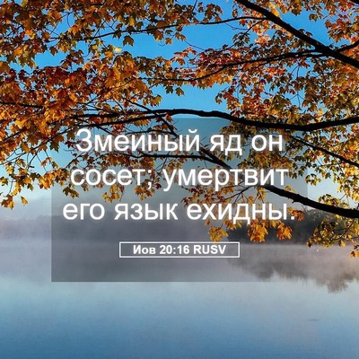 Picture 05 - Иов 20:16 RUSV - Змеиный яд он сосет; - Bible Verse Picture