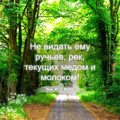 Picture 05 - Иов 20:17 RUSV - Не видать ему ручьев, рек, - Bible Verse Picture