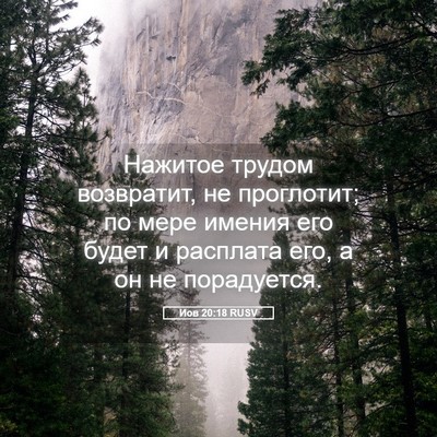 Picture 05 - Иов 20:18 RUSV - Нажитое трудом возвратит, - Bible Verse Picture