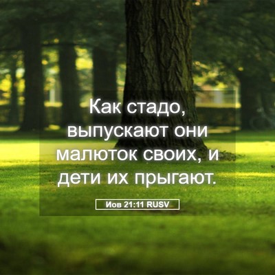 Picture 05 - Иов 21:11 RUSV - Как стадо, выпускают они - Bible Verse Picture