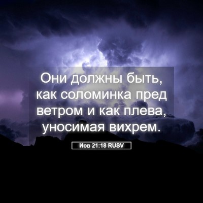 Picture 05 - Иов 21:18 RUSV - Они должны быть, как - Bible Verse Picture