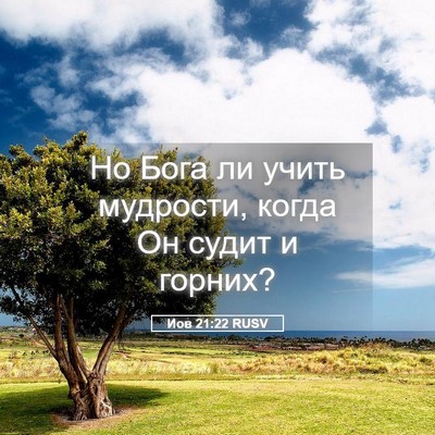 Picture 05 - Иов 21:22 RUSV - Но Бога ли учить мудрости, - Bible Verse Picture