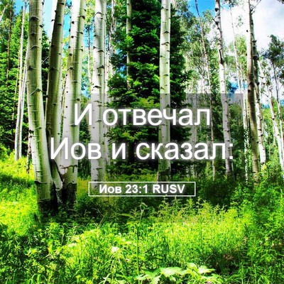 Picture 05 - Иов 23:1 RUSV - И отвечал Иов и - Bible Verse Picture