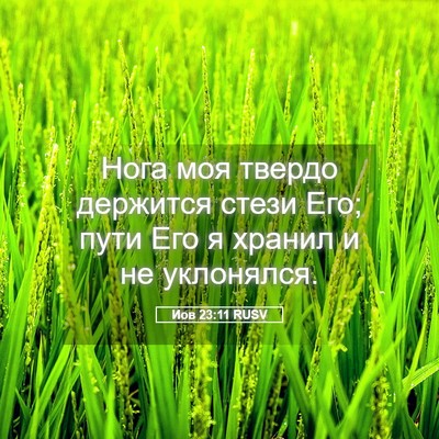 Picture 05 - Иов 23:11 RUSV - Нога моя твердо держится - Bible Verse Picture