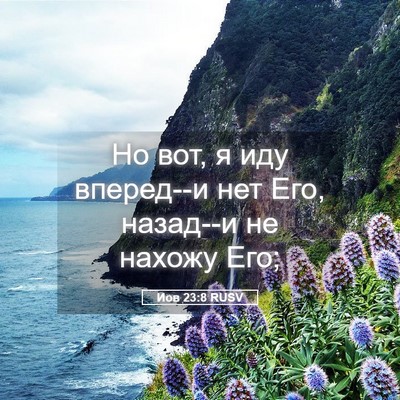 Picture 05 - Иов 23:8 RUSV - Но вот, я иду вперед--и нет - Bible Verse Picture