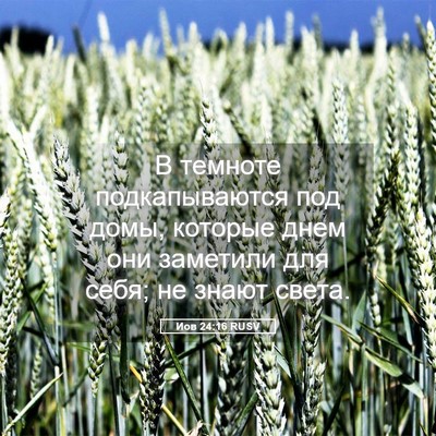 Picture 05 - Иов 24:16 RUSV - В темноте подкапываются - Bible Verse Picture