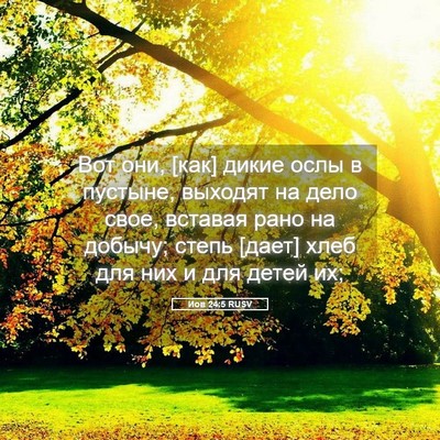 Picture 05 - Иов 24:5 RUSV - Вот они, [как] дикие ослы в - Bible Verse Picture
