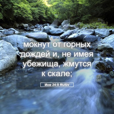 Picture 05 - Иов 24:8 RUSV - мокнут от горных дождей и, - Bible Verse Picture