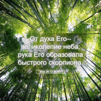 Picture 05 - Иов 26:13 RUSV - От духа Его--великолепие - Bible Verse Picture