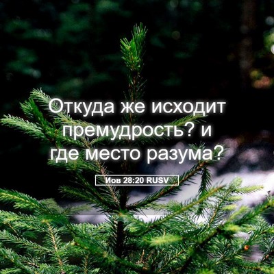 Picture 05 - Иов 28:20 RUSV - Откуда же исходит - Bible Verse Picture