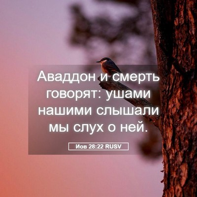 Picture 05 - Иов 28:22 RUSV - Аваддон и смерть говорят: - Bible Verse Picture