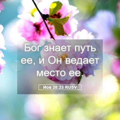 Picture 05 - Иов 28:23 RUSV - Бог знает путь ее, и Он - Bible Verse Picture