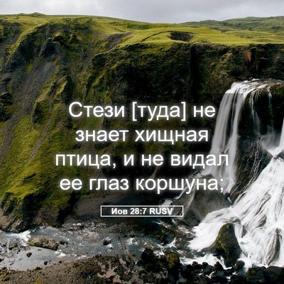 Picture 05 - Иов 28:7 RUSV - Стези [туда] не знает - Bible Verse Picture