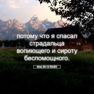 Picture 05 - Иов 29:12 RUSV - потому что я спасал - Bible Verse Picture