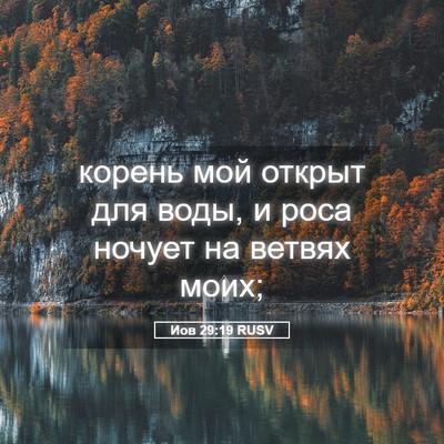 Picture 05 - Иов 29:19 RUSV - корень мой открыт для воды, - Bible Verse Picture