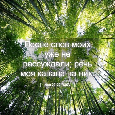 Picture 05 - Иов 29:22 RUSV - После слов моих уже не - Bible Verse Picture