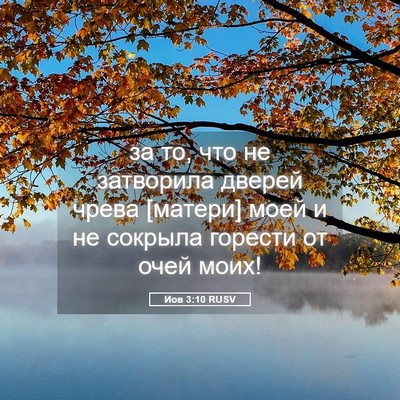 Picture 05 - Иов 3:10 RUSV - за то, что не затворила - Bible Verse Picture