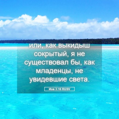 Picture 05 - Иов 3:16 RUSV - или, как выкидыш сокрытый, - Bible Verse Picture