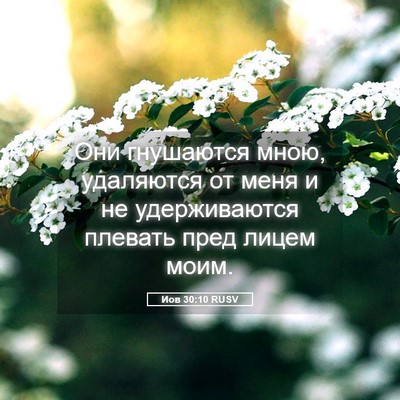 Picture 05 - Иов 30:10 RUSV - Они гнушаются мною, - Bible Verse Picture