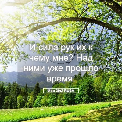 Picture 05 - Иов 30:2 RUSV - И сила рук их к чему мне? - Bible Verse Picture