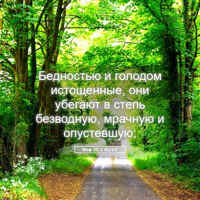 Picture 05 - Иов 30:3 RUSV - Бедностью и голодом - Bible Verse Picture