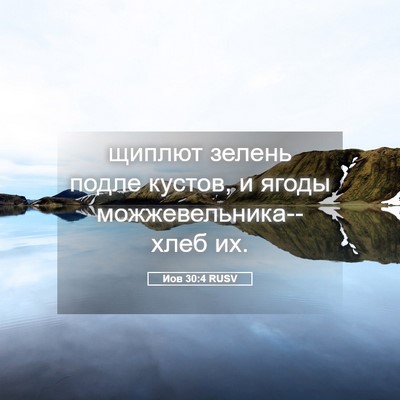 Picture 05 - Иов 30:4 RUSV - щиплют зелень подле - Bible Verse Picture