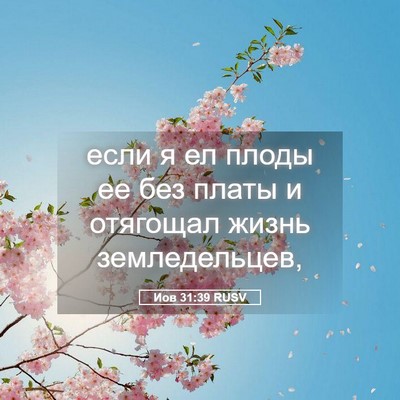 Picture 05 - Иов 31:39 RUSV - если я ел плоды ее без - Bible Verse Picture