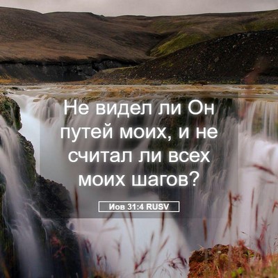 Picture 05 - Иов 31:4 RUSV - Не видел ли Он путей моих, и - Bible Verse Picture