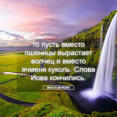 Picture 05 - Иов 31:40 RUSV - то пусть вместо пшеницы - Bible Verse Picture