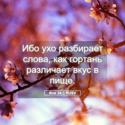Picture 05 - Иов 34:3 RUSV - Ибо ухо разбирает слова, - Bible Verse Picture